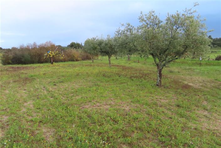 Image No.16-Property for sale