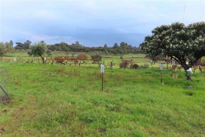 Image No.17-Property for sale