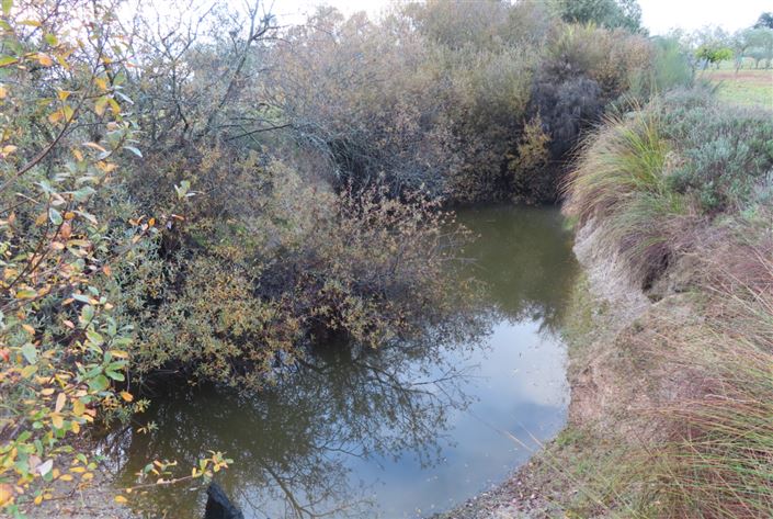 Image No.21-Property for sale