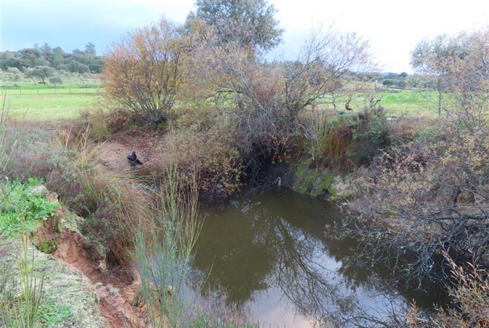 Image No.23-Property for sale