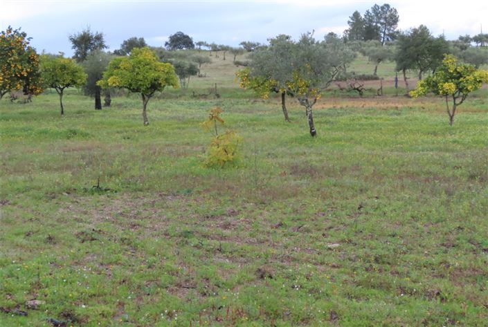 Image No.25-Property for sale