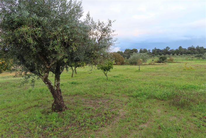 Image No.29-Property for sale