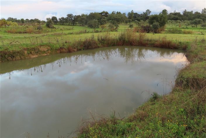 Image No.3-Property for sale