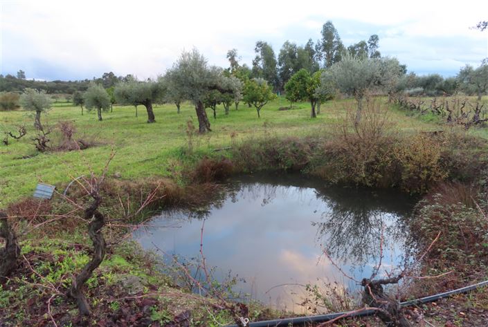 Image No.35-Property for sale