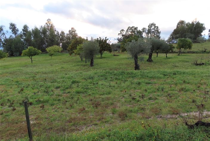 Image No.37-Property for sale