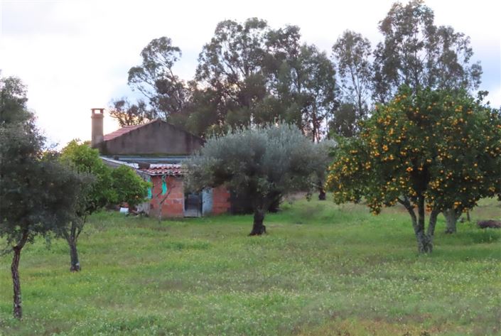 Image No.38-Property for sale