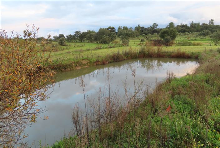 Image No.4-Property for sale