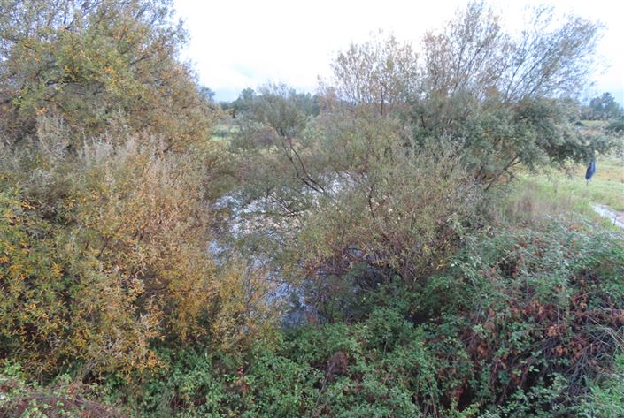 Image No.40-Property for sale