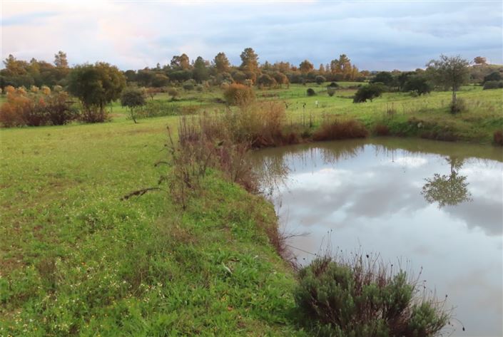 Image No.42-Property for sale