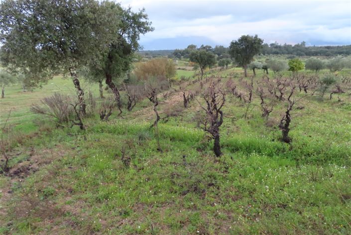 Image No.43-Property for sale