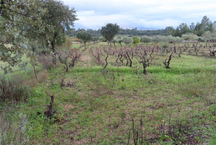 Image No.45-Property for sale