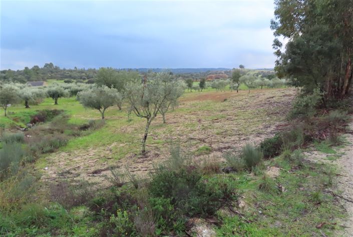 Image No.6-Property for sale