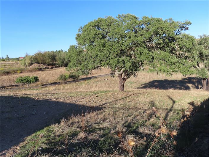 Image No.14-3 Bed Property for sale