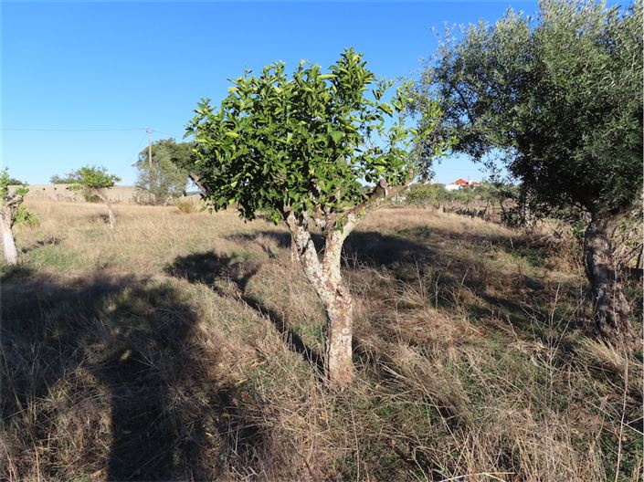 Image No.15-3 Bed Property for sale