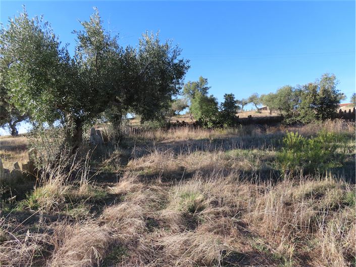 Image No.16-3 Bed Property for sale