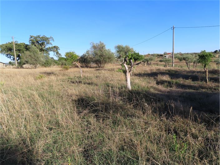 Image No.19-3 Bed Property for sale