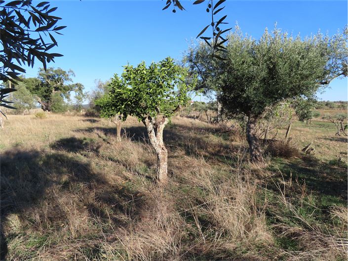 Image No.21-3 Bed Property for sale