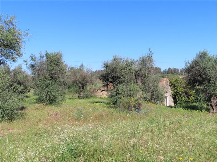 Image No.10-2 Bed Property for sale