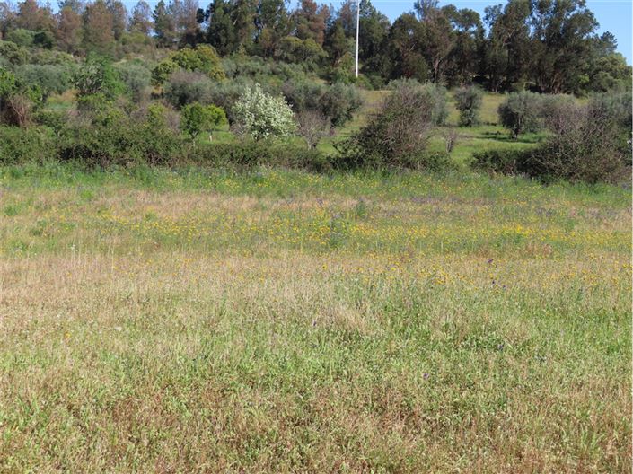 Image No.16-2 Bed Property for sale