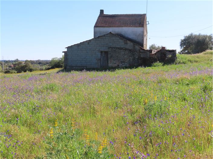 Image No.31-2 Bed Property for sale