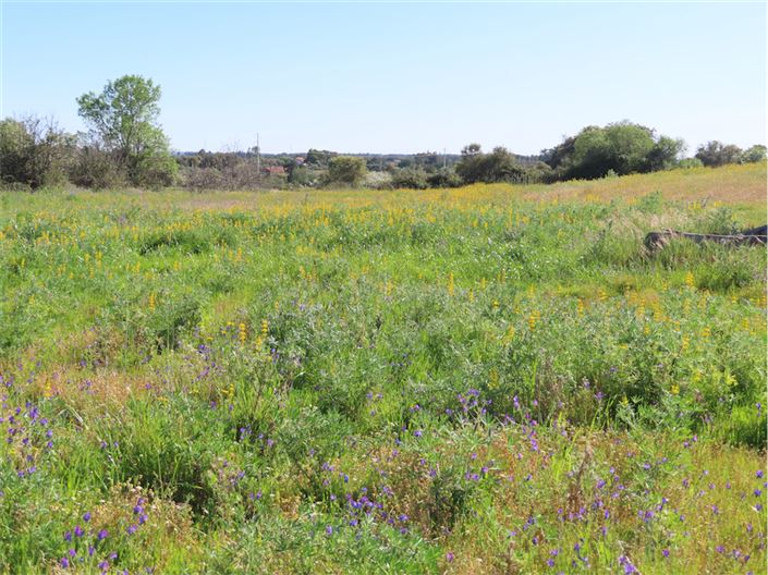 Image No.32-2 Bed Property for sale