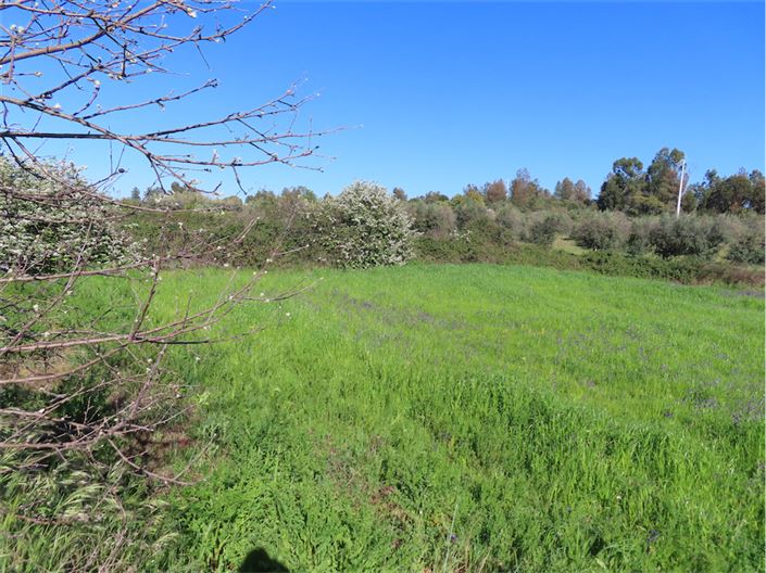 Image No.36-2 Bed Property for sale