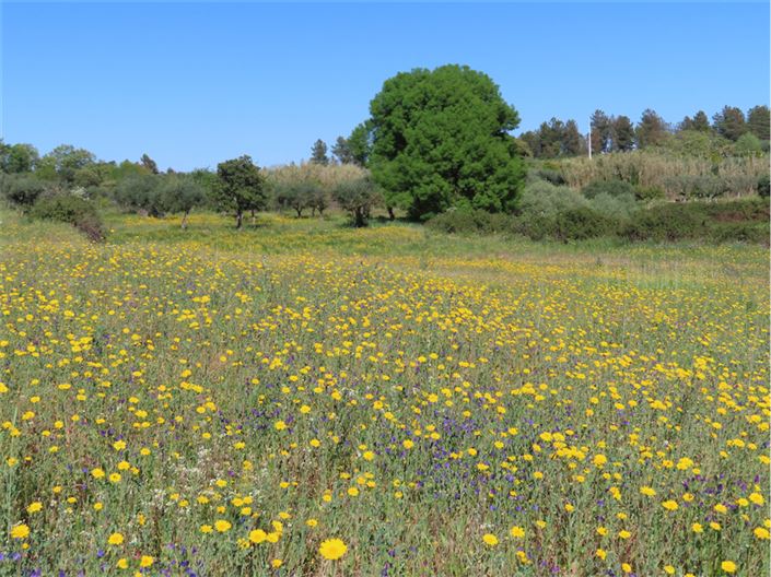 Image No.4-2 Bed Property for sale