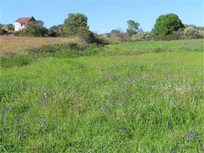 Image No.42-2 Bed Property for sale