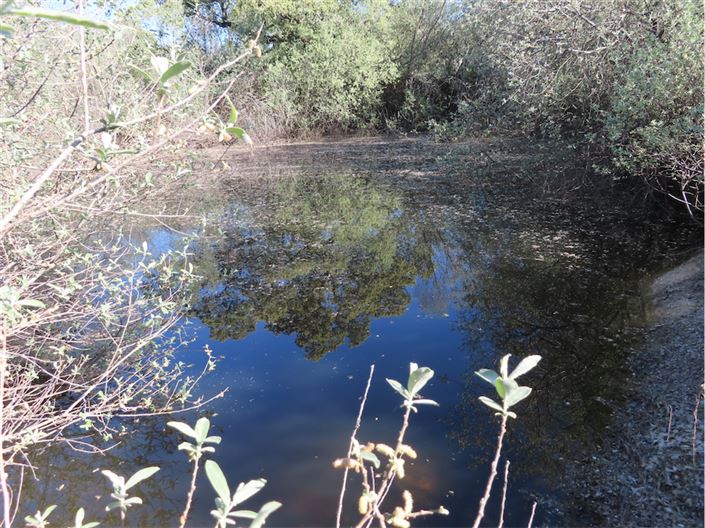 Image No.46-2 Bed Property for sale