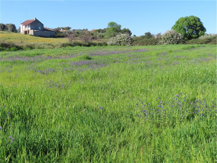 Image No.48-2 Bed Property for sale