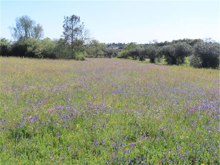 Image No.49-2 Bed Property for sale