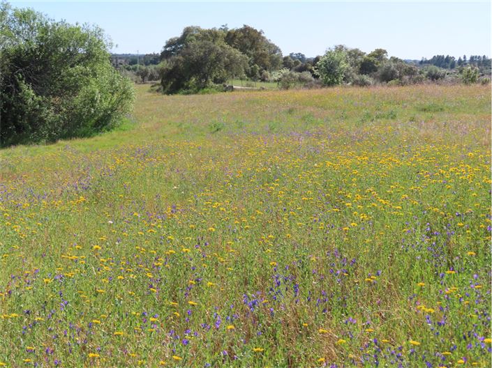 Image No.5-2 Bed Property for sale