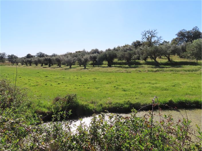 Image No.50-2 Bed Property for sale