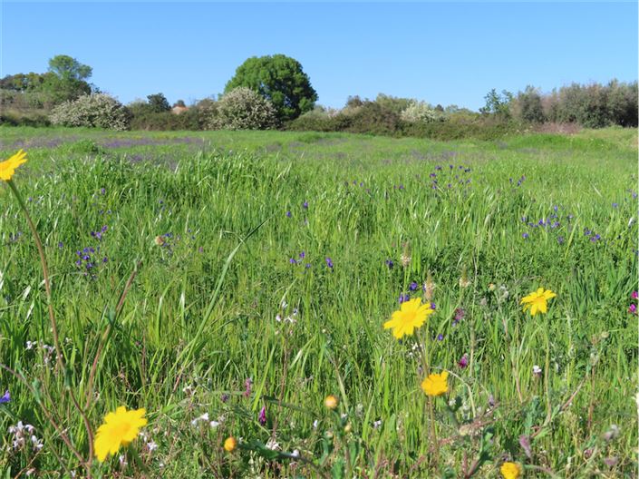 Image No.7-2 Bed Property for sale