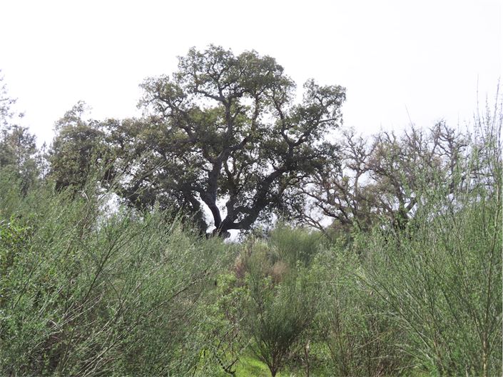 Image No.10-Property for sale