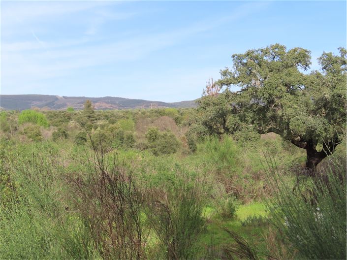 Image No.11-Property for sale