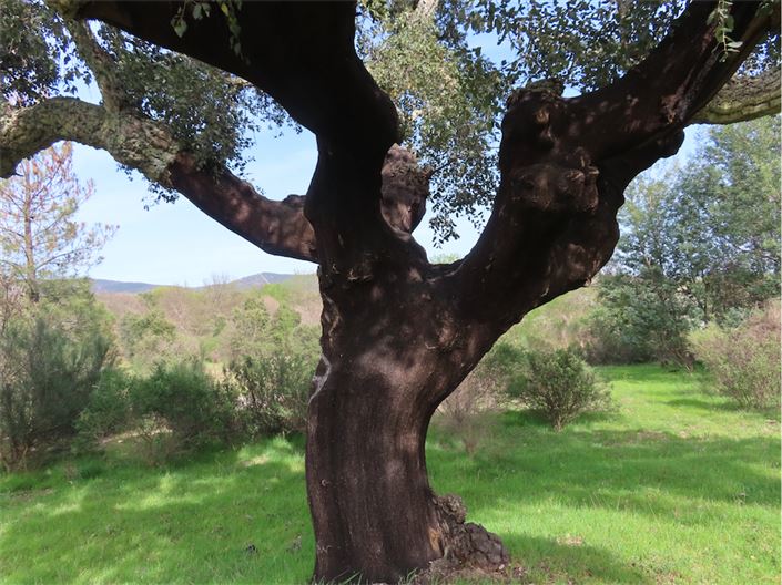 Image No.12-Property for sale