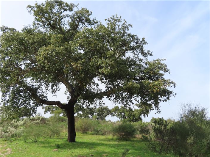 Image No.13-Property for sale