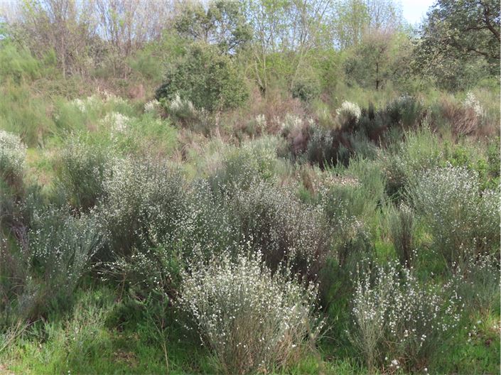 Image No.17-Property for sale