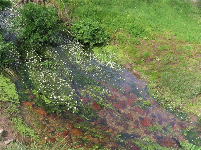 Image No.18-Property for sale