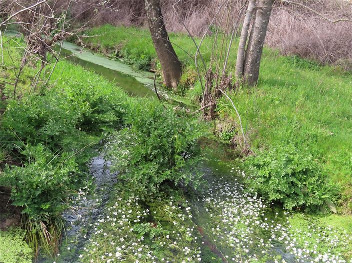 Image No.19-Property for sale