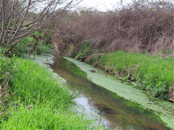 Image No.20-Property for sale