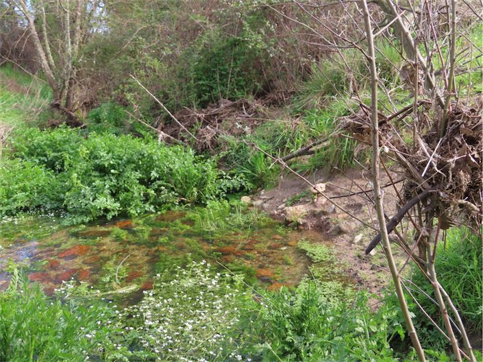 Image No.21-Property for sale