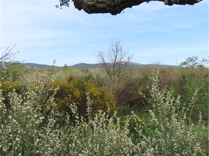 Image No.22-Property for sale