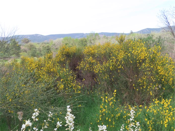 Image No.23-Property for sale