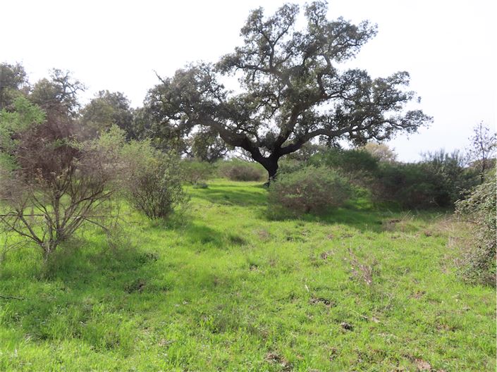 Image No.3-Property for sale