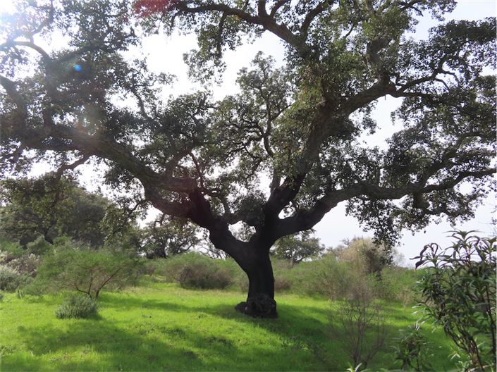 Image No.4-Property for sale