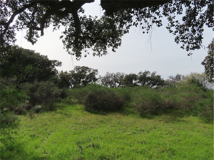 Image No.6-Property for sale