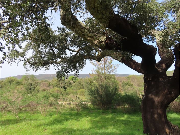 Image No.7-Property for sale