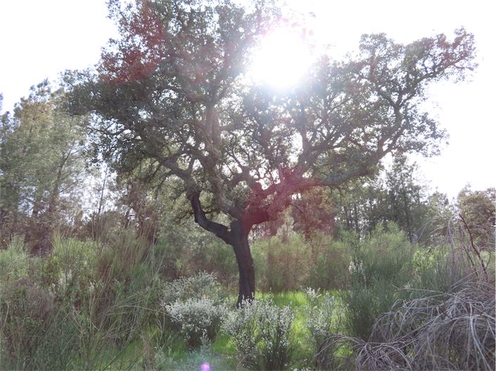 Image No.8-Property for sale